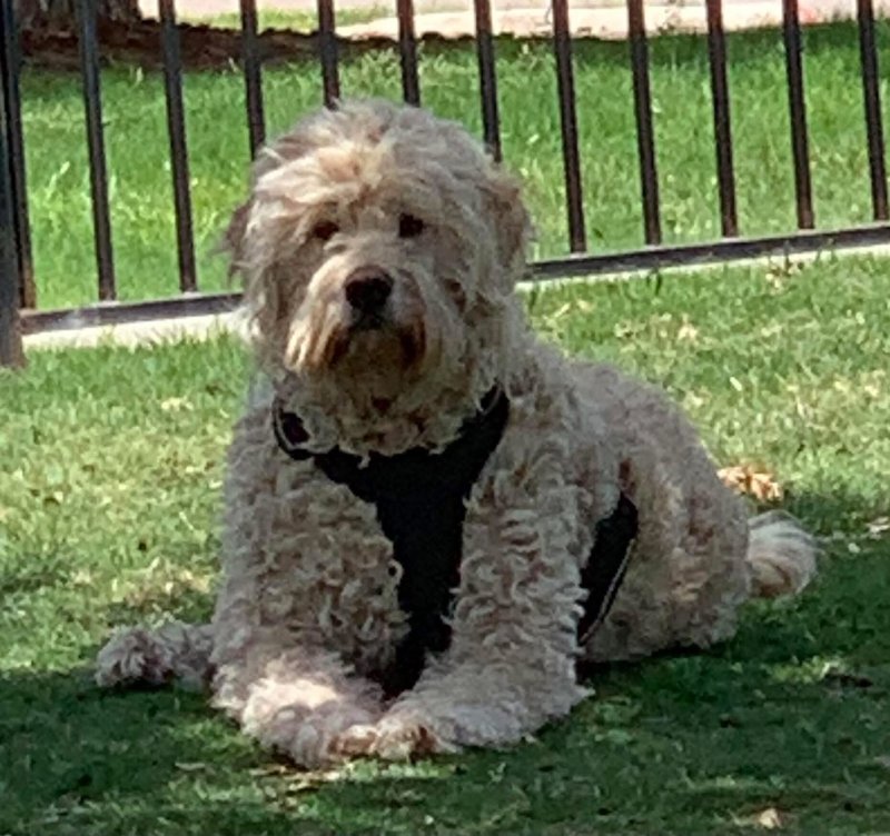 Susan Hryhorchuk - Photo 47