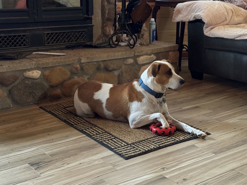 Robert Gerald Brown - Photo 69