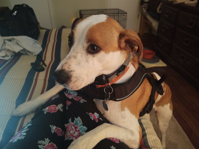 Robert Gerald Brown - Photo 77