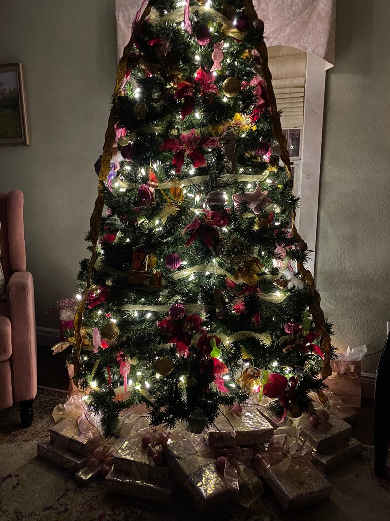 Vonda Renee Chelette - Photo 62