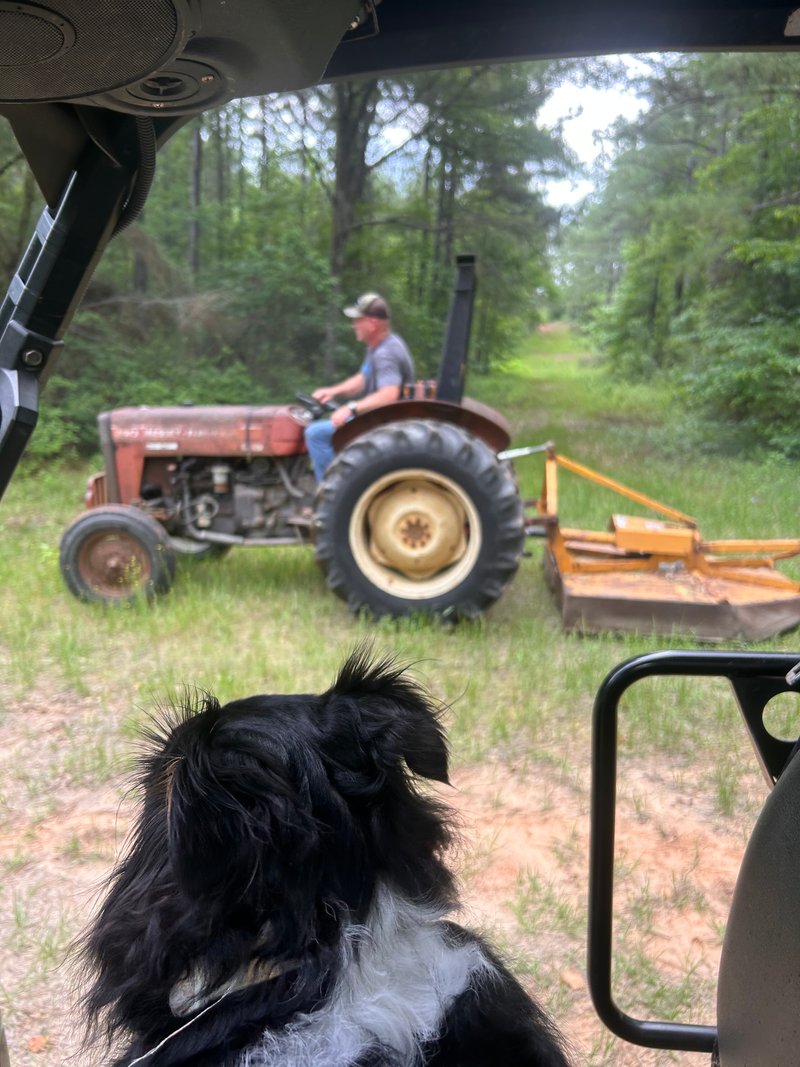 Jason Lee Laughlin - Photo 80