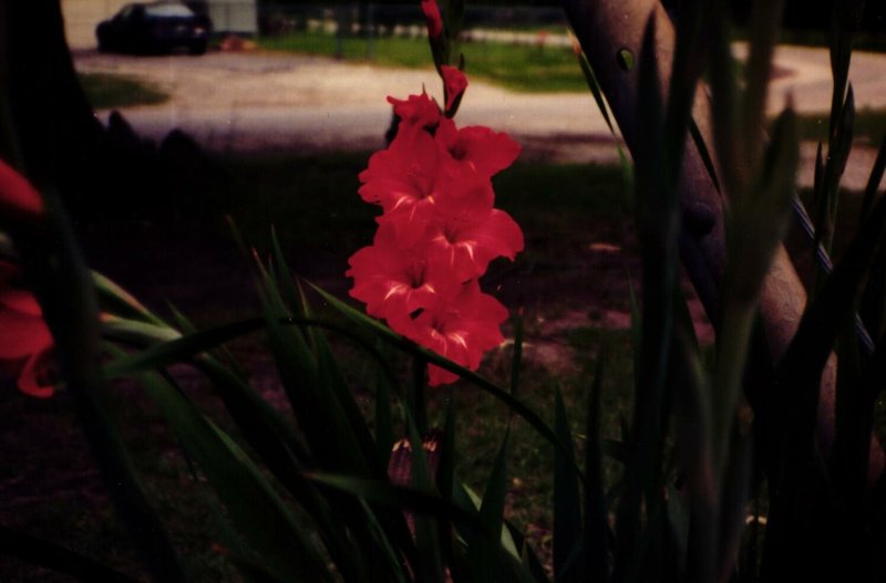 Denetta Dean Gravett - Photo 16