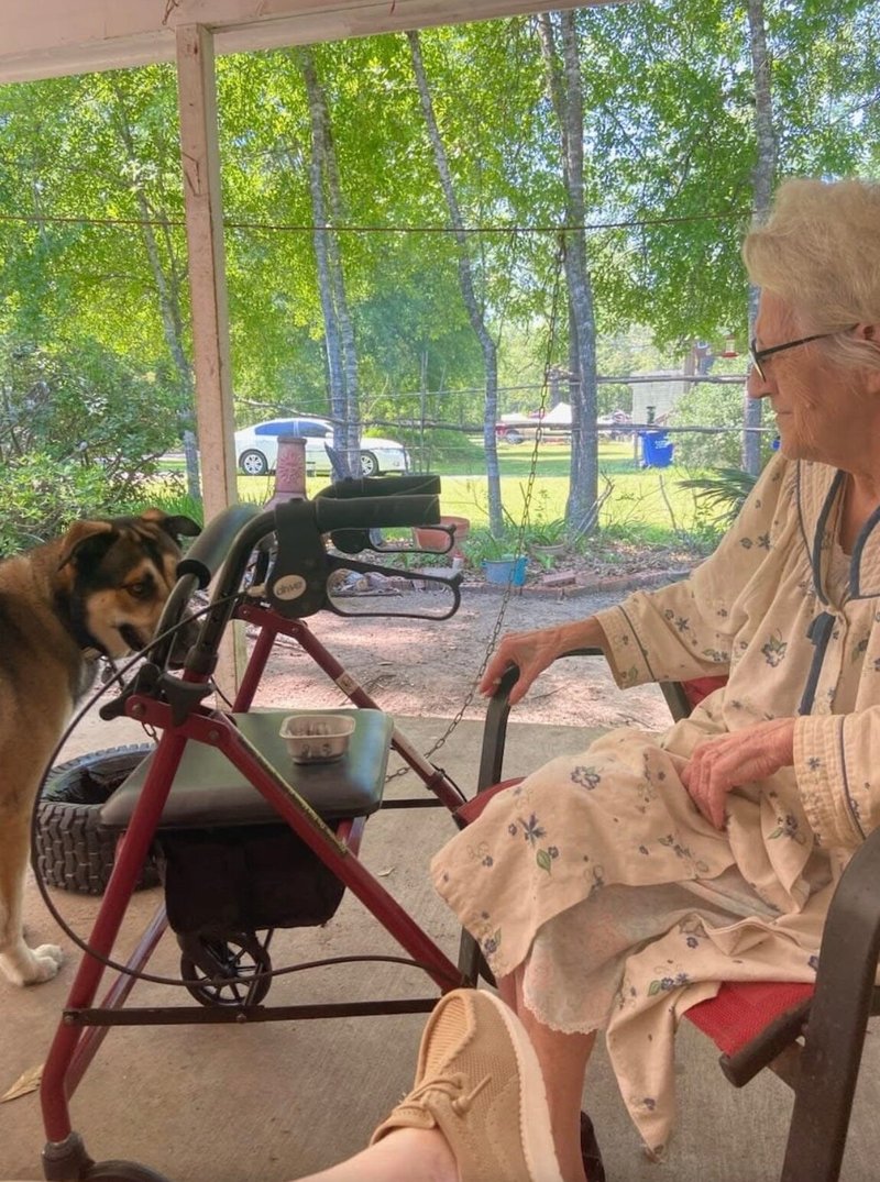 Denetta Dean Gravett - Photo 49