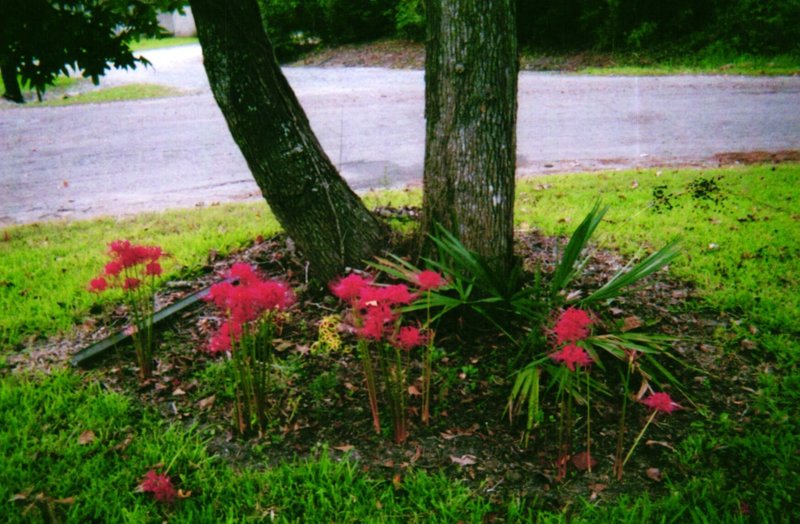 Denetta Dean Gravett - Photo 69