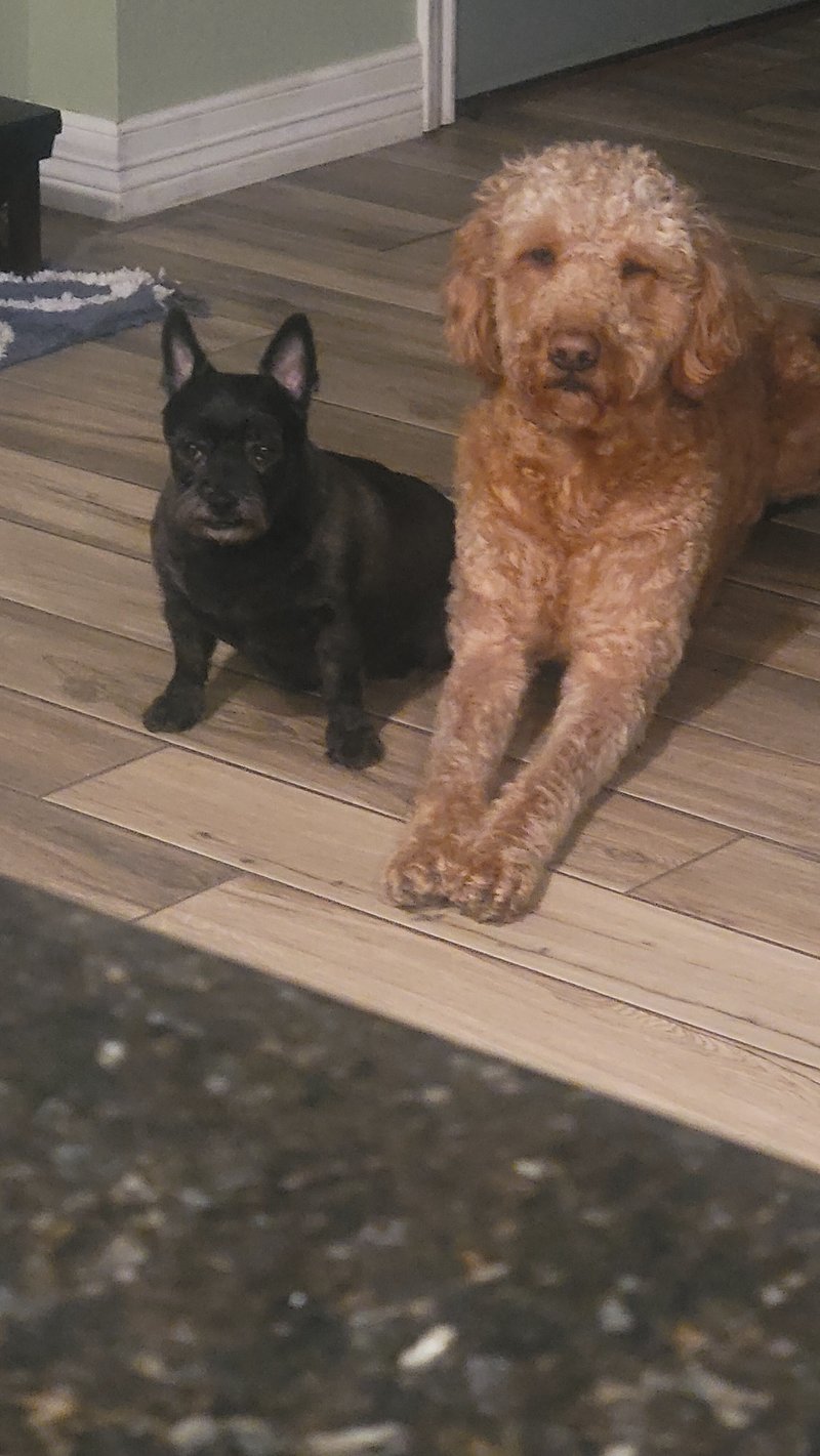 Steven Dawson Kimbell - Photo 78