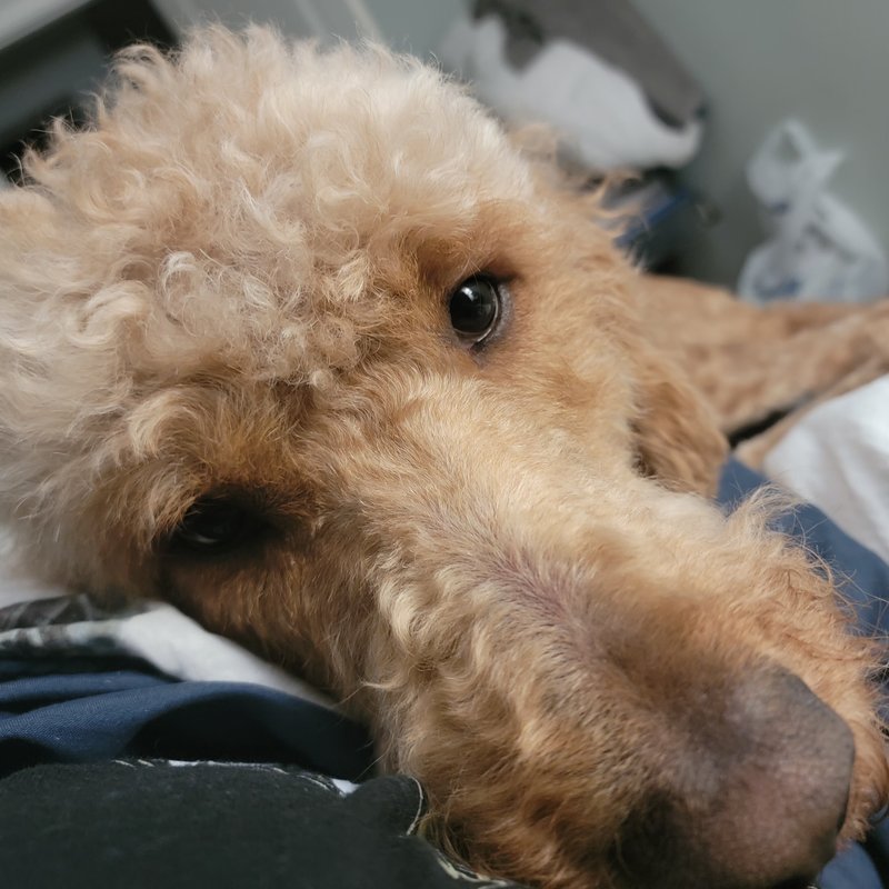 Steven Dawson Kimbell - Photo 82