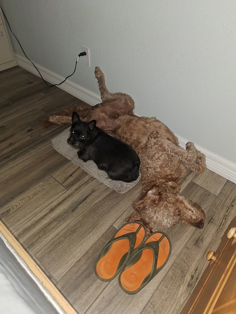 Steven Dawson Kimbell - Photo 124