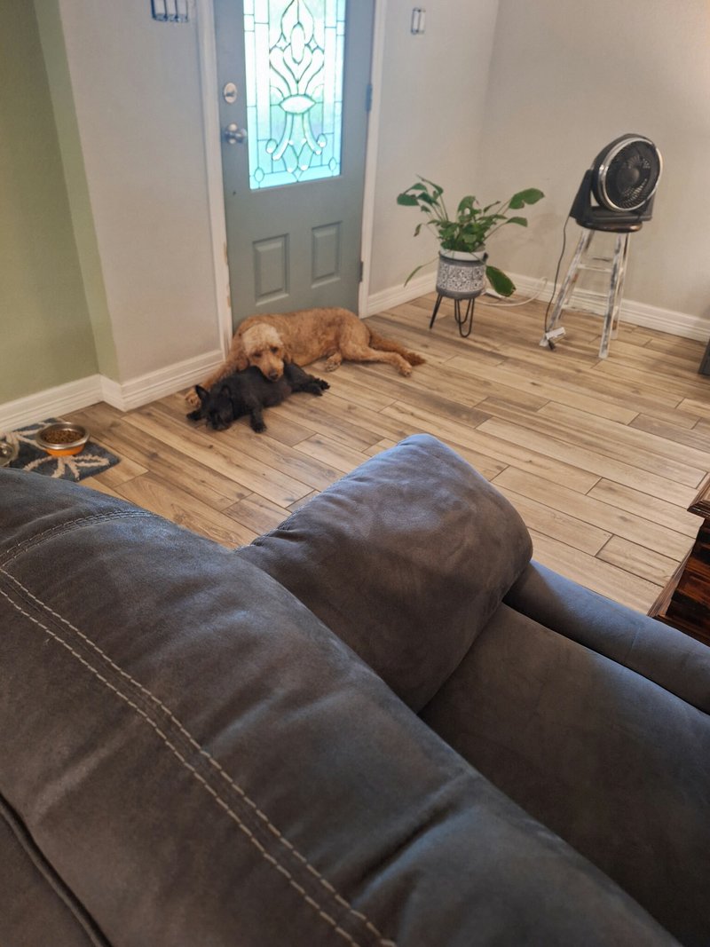 Steven Dawson Kimbell - Photo 186