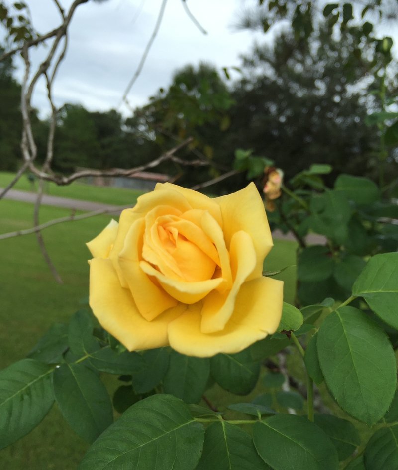 Joseph William Van Benthuysen, Jr. - Photo 60