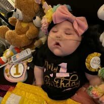 Adeline Emery Rae Johnson - Photo 50