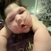 Adeline Emery Rae Johnson - Photo 68