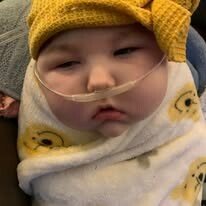 Adeline Emery Rae Johnson - Photo 69