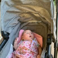 Adeline Emery Rae Johnson - Photo 197