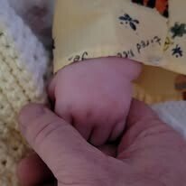 Adeline Emery Rae Johnson - Photo 265