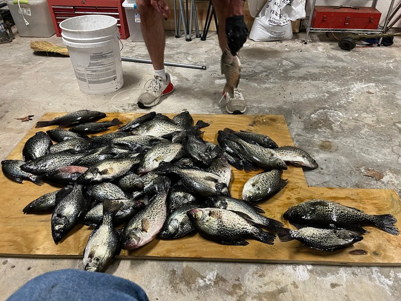 Allan Kent Henagan - Photo 109