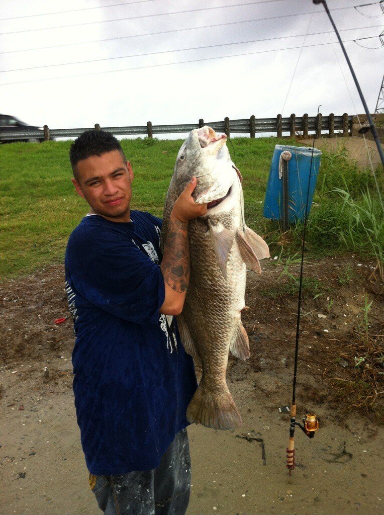 Steven Ivan Acosta - Photo 131