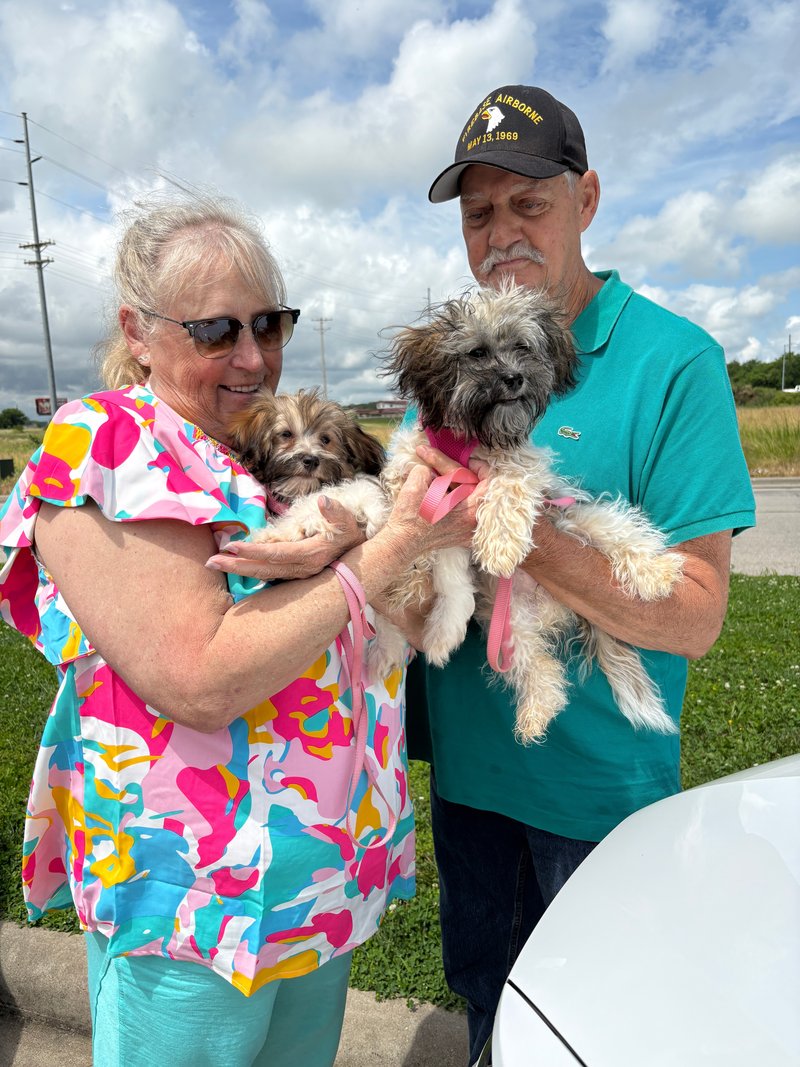 Cindy K Young - Photo 8