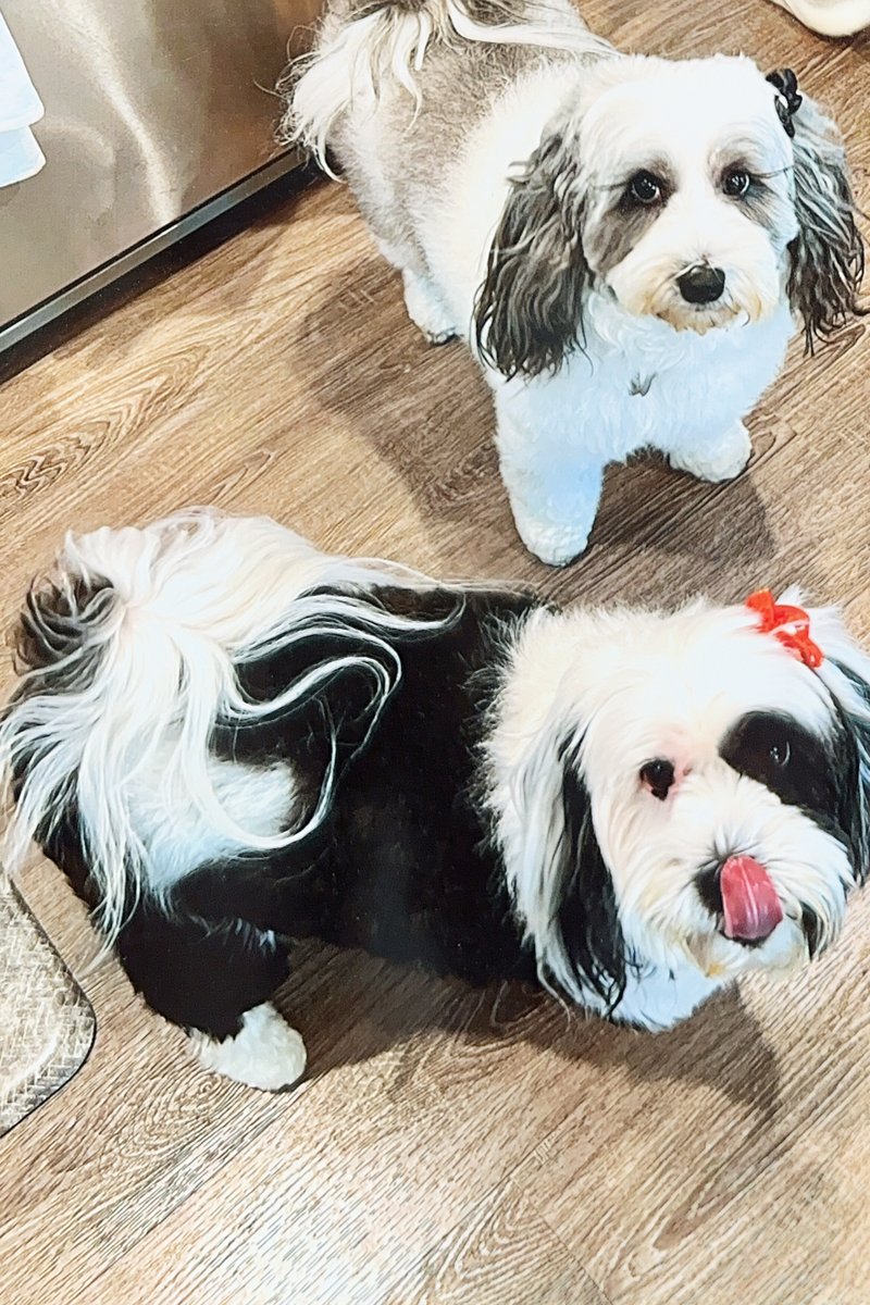 John (Johnny) W. Guidry Sr. - Photo 8