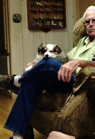 Wayne Harrison - Photo 57