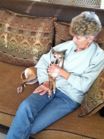 Barbara Rena Daigle - Photo 46