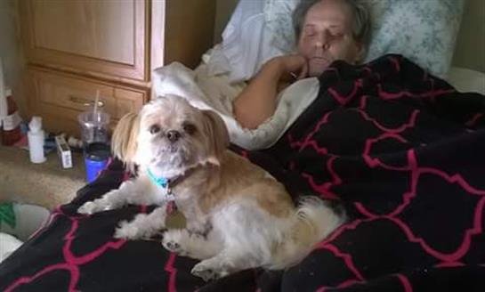 Steven Lee Bisson - Photo 9