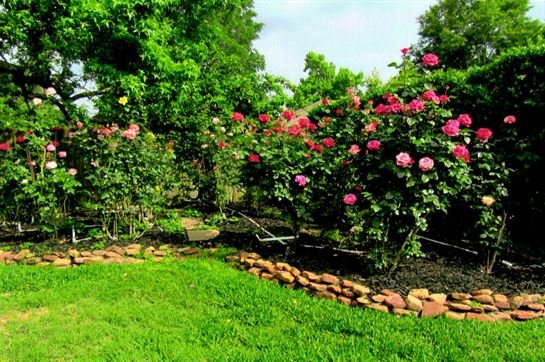 Doyle Wayne McCamey - Photo 19