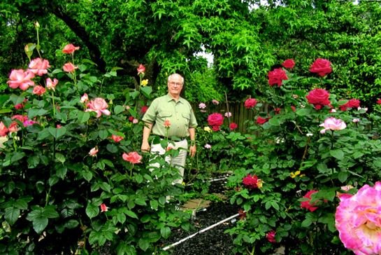 Doyle Wayne McCamey - Photo 68