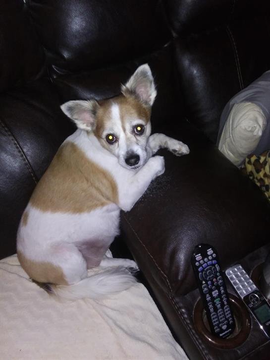 Randy Boyd Landry - Photo 4