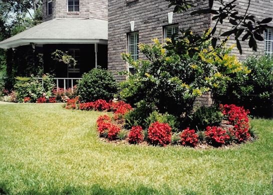 Jerry Dale Schlabs - Photo 80