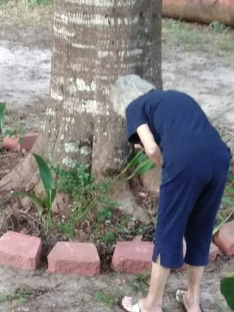 Evelyn Rose Montgomery - Photo 82