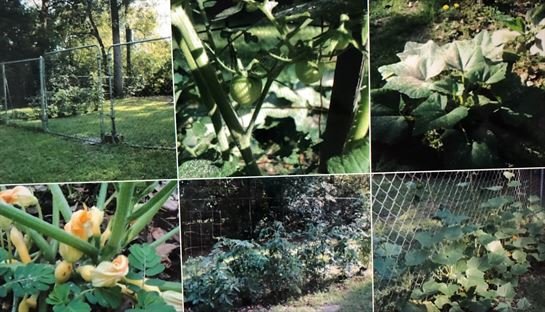 Charles Robert Moxley - Photo 19