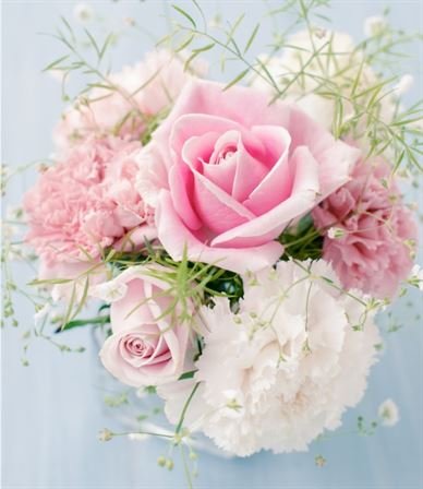 Shirley Ann Chapman - Photo 45