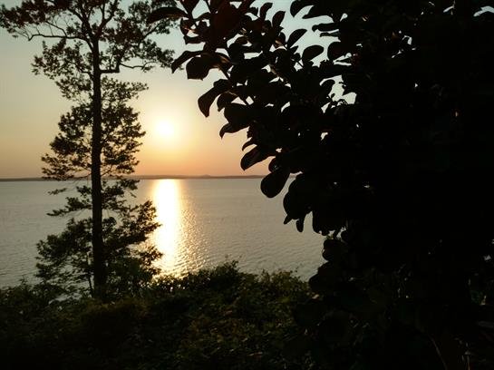 Randy Laughlin - Photo 16