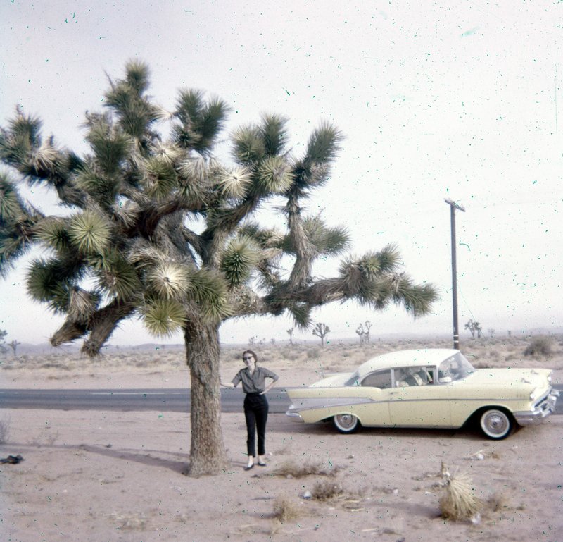 Shirley Butcher Burney - Photo 91