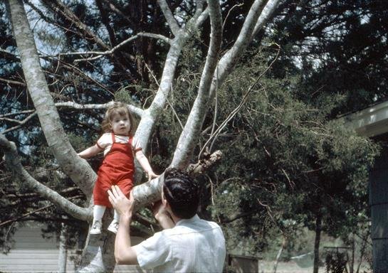 Ralph William Hebert - Photo 5