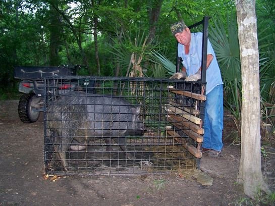 James T. "Jimmy" Bland, Jr. - Photo 5