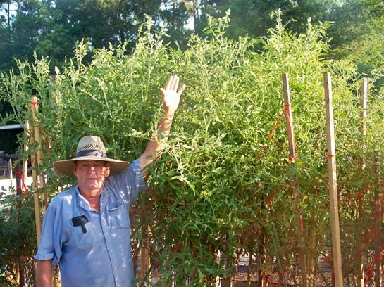 James T. "Jimmy" Bland, Jr. - Photo 14