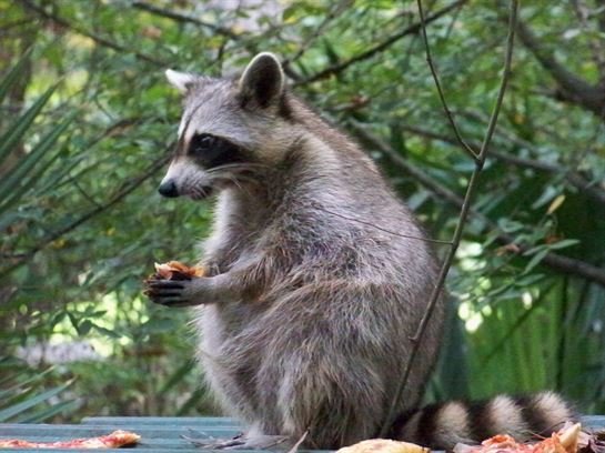 James T. "Jimmy" Bland, Jr. - Photo 62