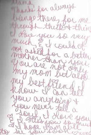 Lauren LaVearn Shafer - Photo 6