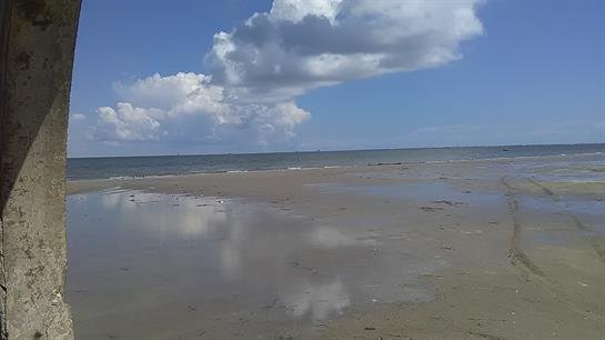 Lauren LaVearn Shafer - Photo 28