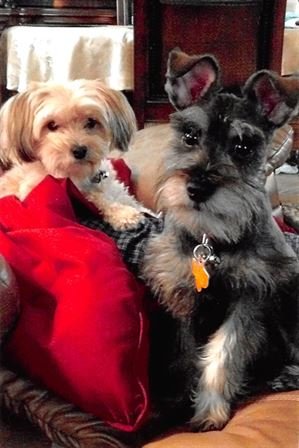 Milton Paul Pansano - Photo 51