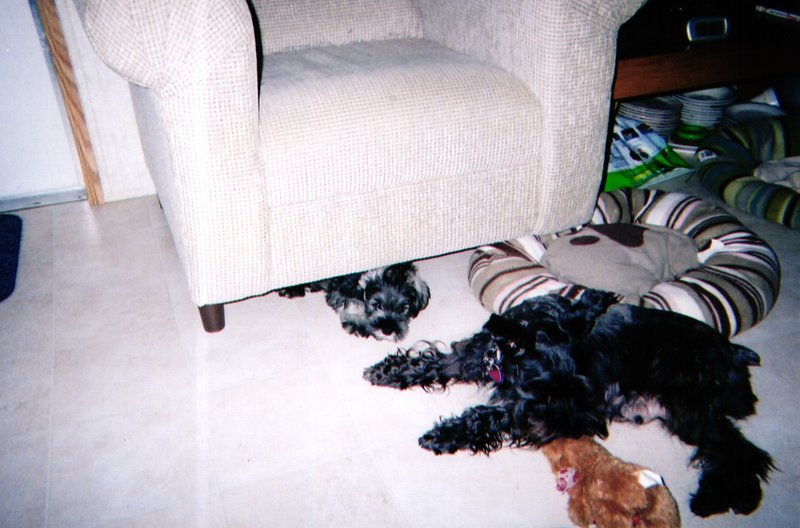 Freddy Joseph Viator - Photo 7