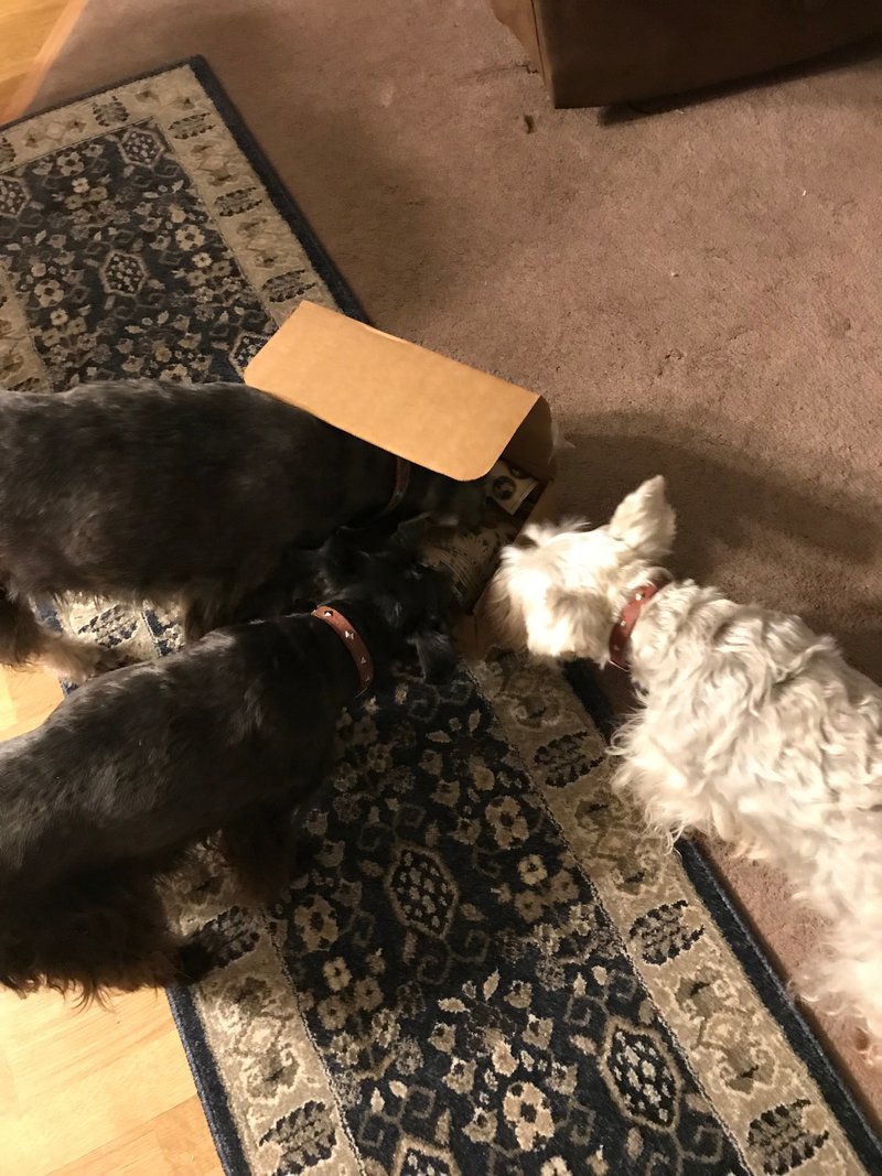 Freddy Joseph Viator - Photo 9