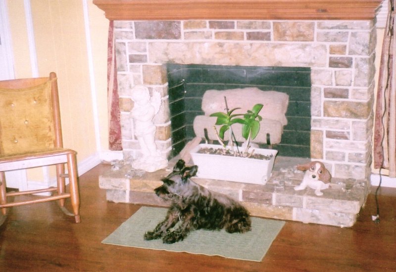 Freddy Joseph Viator - Photo 25