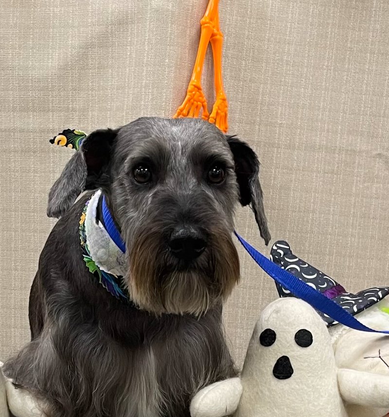 Freddy Joseph Viator - Photo 33