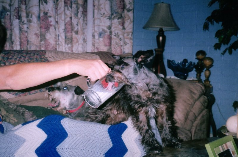 Freddy Joseph Viator - Photo 36