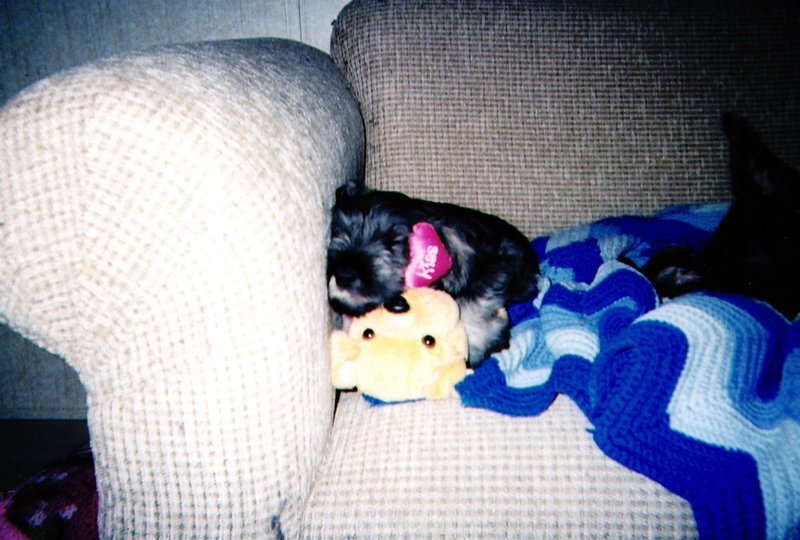 Freddy Joseph Viator - Photo 52