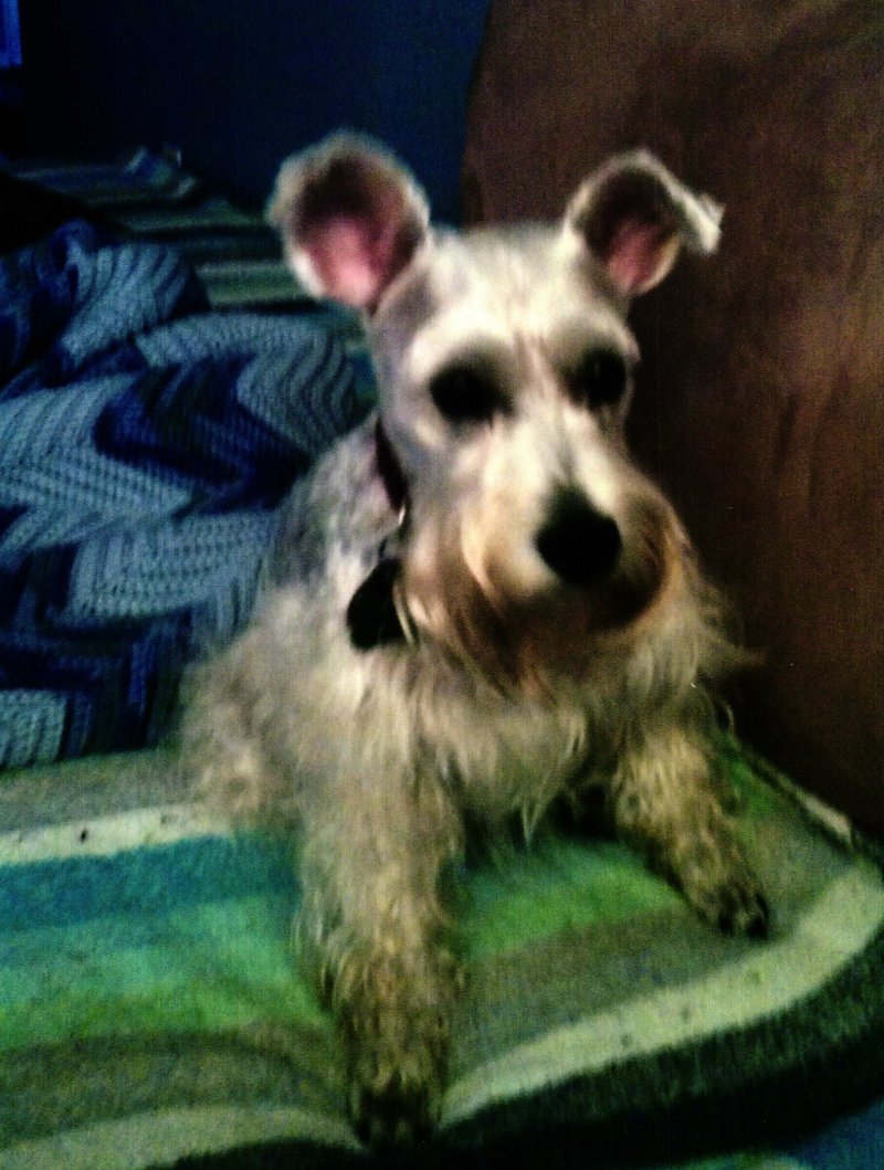 Freddy Joseph Viator - Photo 61