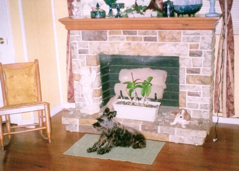 Freddy Joseph Viator - Photo 65