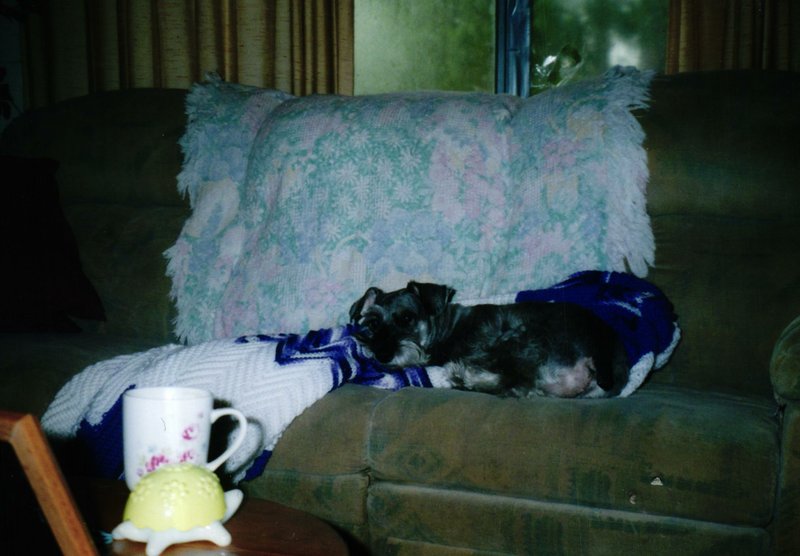 Freddy Joseph Viator - Photo 68